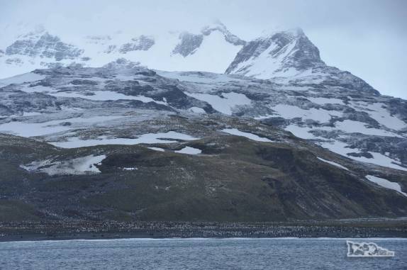 A paisagem montanhosa de Salisbury Plain, na Geórgia do Sul